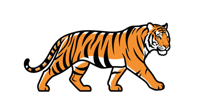 Walking tiger vector illustration on white background