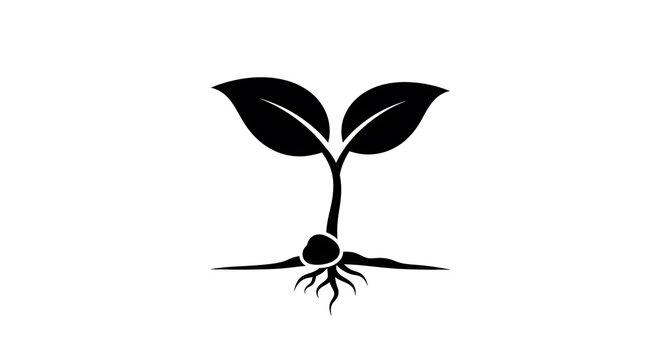 black sprout growing plant icon with roots