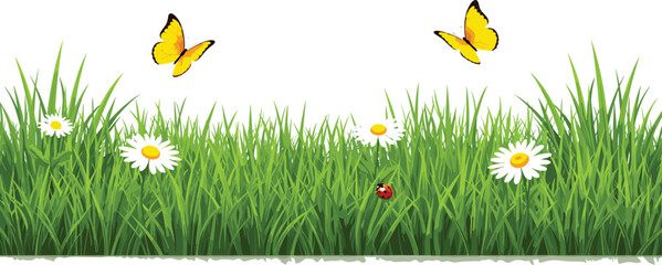 Spring grass border vector illustration featuring daisies, butterflies and ladybug in fresh green meadow design © jafrine