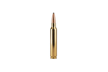 Obraz premium Rifle ammunition cartridge showing a brass casing and bullet
