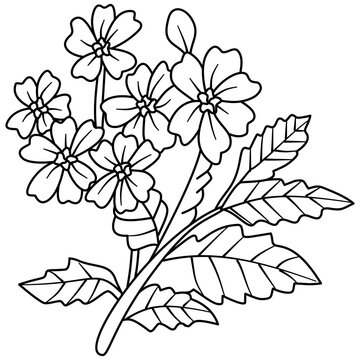 Peltophorum flower blossom line art illustration, hand drawn botanical yellow flamboyant floral