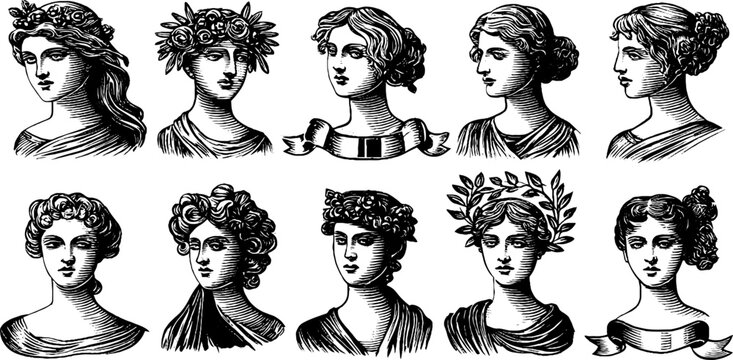 Classical female busts showing varied head profiles on white
