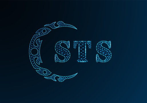 Low poly letter logo STS design. STS letter logo low poly vector design on blue color gradient background. STS logo low poly design