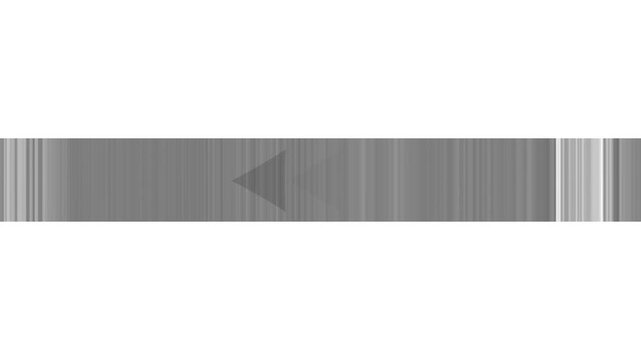 Gray rewind symbol with vertical gray lines on a white background previous arrow