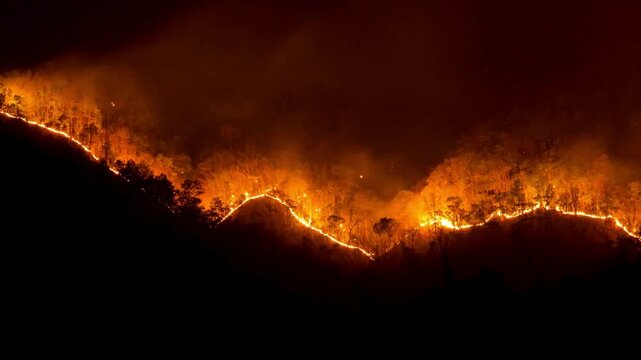 Horrifying scenes of an of Intense Forest Fire Spreading Through Mountain forest at night. deforestation and greenhouse effect.  climate change and heat waves across the globe. 