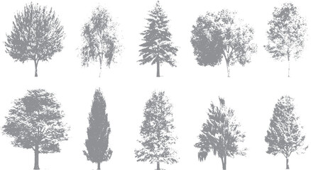 Fototapeta premium Clean line tree illustration for landscape planning Vector plant and tree drawing with simple outline style