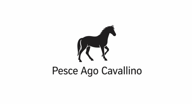 Silhouette of a horse in motion above text