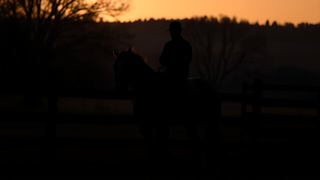 A rider dismounting a horse near a fence at dusk, warm sunset colors.