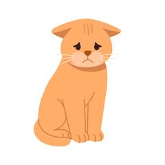 Fototapeta premium Sad Cat Isolated on White Background. Pet Cartoon Character. Flat Vector Illustration.