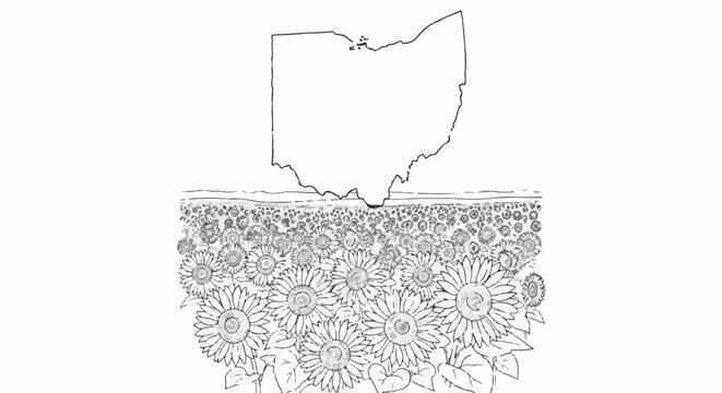 Outline of Ohio state map superimposed over a field of blooming sunflowers
