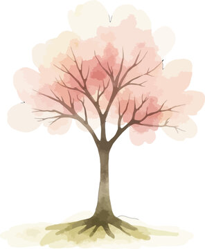 Cherry Blossom Tree in Spring Landscape