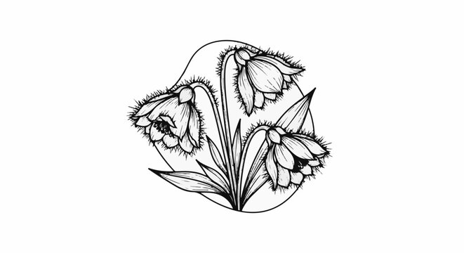 Delicate black and white illustration of three bell-shaped flowers with fringed petals