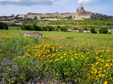 View at the historic town of Mdina on Malta