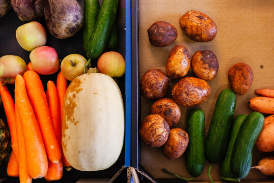 Fresh fruit and veg for healthy eating being packed in food hub box