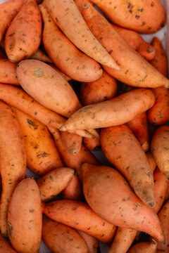 Full box of fresh sweet potato vegetables from overhead