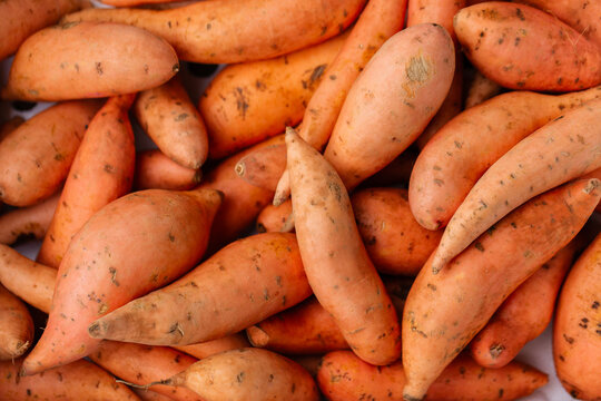 Full box of fresh sweet potato vegetables from overhead