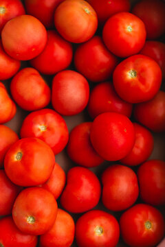 Full box of fresh red tomato fruit from overhead
