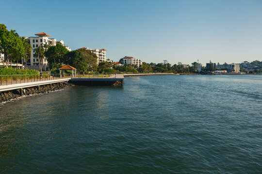 River Walk Pathway in Newstead Brisbane with Apartments in the Background