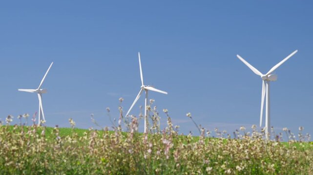 Windmill park for sustainable electric power generation in Spain.
