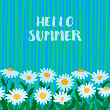 White daisy flowers background with Hello Summer lettering. Botanical chamomile meadow border on a blue striped texture. Summer greeting card or banner template. Flat vector illustration.