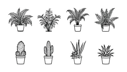 Plant Pot Collection: An assortment of ornamental plant, from lush fern to spiky cactus, nestled in minimalistic pots, all rendered in a clean, monochrome linework style. © abidakhatun