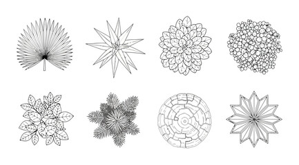 Obraz premium Hand drawn top view plant and tree sketches set architectural landscape design elements, garden plan symbols, and botanical illustrations