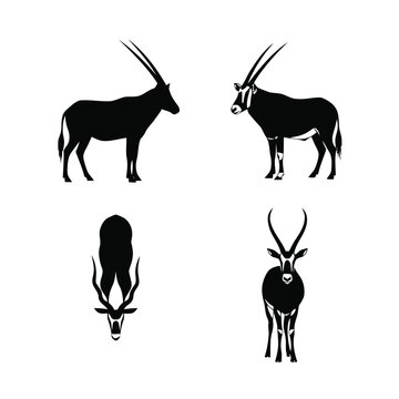 Black silhouette vector illustrations of oryx antelopes in various poses on a white background, showcasing their distinct horns and elegant forms.