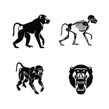 Baboon and skeleton illustrations set including full body, skeletal, and roaring head designs in black and white.