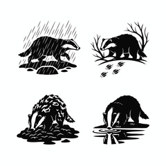 Set of black and white badger illustrations showing various natural behaviors like walking in rain, forest, digging, and drinking. © Mahmud