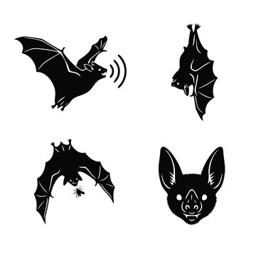 Black bat silhouettes collection showing flying, echolocation, hanging, and hunting behaviors, isolated on white.