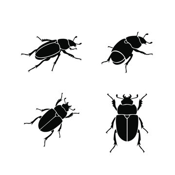 Four black beetle insect silhouettes in various poses on a white background, perfect for nature and entomology designs.