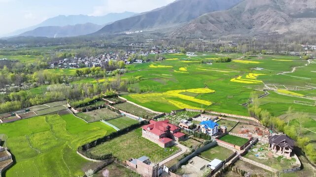 A cinematic wide-angle aerial orbit showcasing a sprawling rural settlement with large walled garden plots and beautiful red-roofed homes in Jammu and Kashmir.