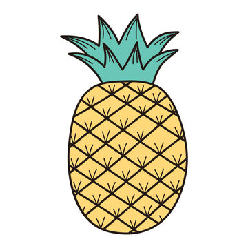 Hand drawn pineapple