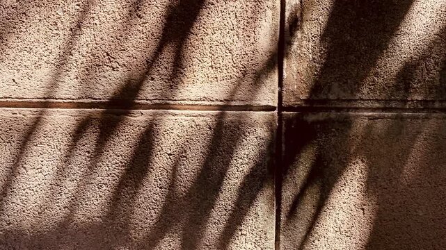 Abstract geometric background of strong tree shadow lines on a rough concrete block wall.