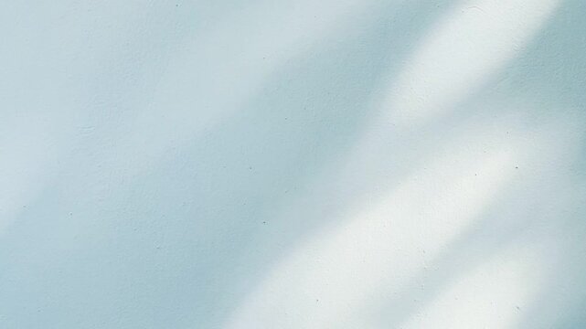 Minimalist abstract background of soft leaf shadows and light on a concrete wall.
