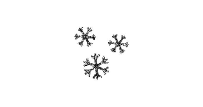 Sketch snowflakes icon animation - smooth progressive reveal