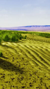 Waves of sand stretch across a desert landscape. The sun shines brightly on the golden surface. Mountains rise in the distance under a clear sky.