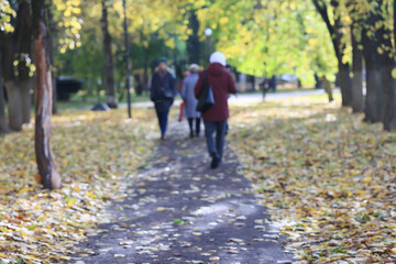 Fototapeta premium autumn park, nature landscape, trees in a seasonal background