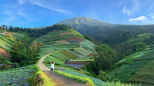 Man standing on mountain path with arms raised, overlooking lush green terraces and scenic landscape, travel and freedom concept, nature exploration.