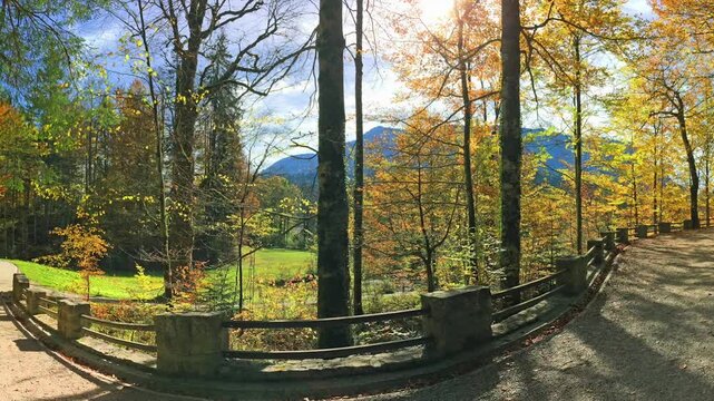 Hiking trail in Bavaria, Germany . Autumn