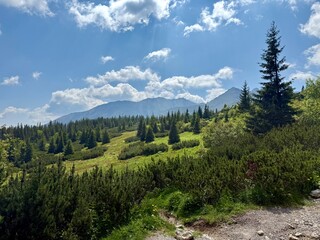 Fototapeta premium Rolling green hills and mountain landscape