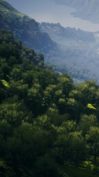 The view shows green hills filled with trees overlooking a lake in the valley. Mountains rise in the background under a clear sky. It is daytime, and the landscape is bright and vibrant.