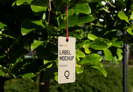 Label Hanging on Plant Mockup