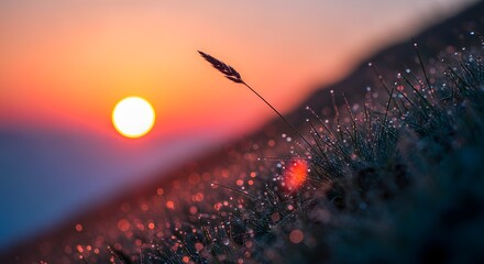 Obraz premium Dew drops on grass at sunrise with mountain view. Fresh start and morning vitality concept. Single blade of grass silhouetted against rising sun in a misty meadow