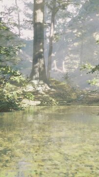 A forest has tall trees surrounding a calm pond. Sunlight filters through the branches, creating reflections on the water. The scene is still and natural, showing a moment of nature.