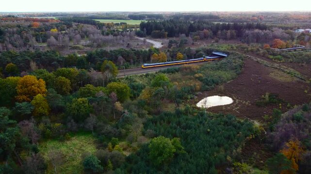 Dutch ''Koploper'' train