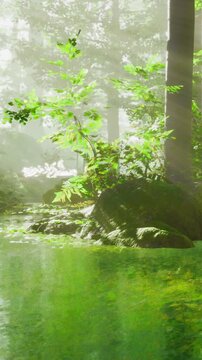 Bright green plants emerge near the water surface in a forest. Sunlight shines through trees, creating reflections. The scene shows nature in a vibrant environment.