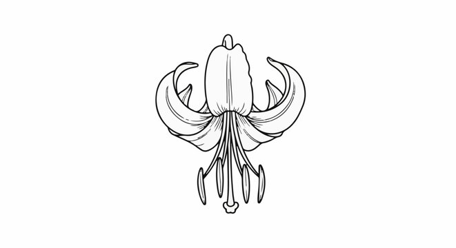 Stylized black and white line drawing of a single bell-shaped flower, hanging downwards