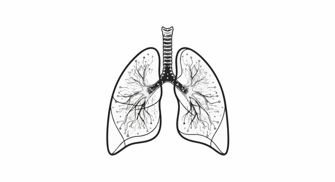 Stylized illustration of human lungs with intricate branching internal structure
