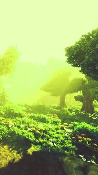 The scene shows a forest filled with green trees and plants. Sunlight filters through the branches, creating bright light. The ground has rocks and various plants scattered.